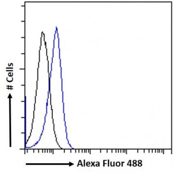 FACS testing of fixed and permeabilized human HEK293 cells with PLA2R1 antibody (blue) at 10ug/ml an