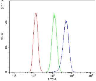 Flow cytometry testing of human A431 cells with ADAM15 antibody at 1ug/million cells (blocked with g