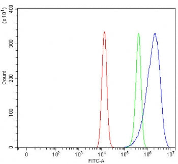 MART-1 / Melan-A Antibody