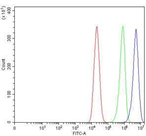 Flow cytometry testing of human Caco-2 cells with DNMT3b antibody at 1ug/million cells (blocked with