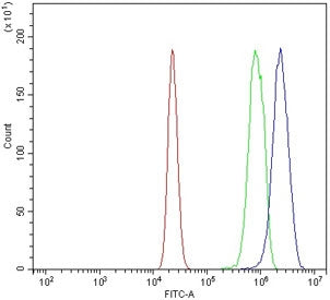 Flow cytometry testing of mouse RAW264.7 cells with Ddit3 antibody at 1ug/million cells (blocked wit