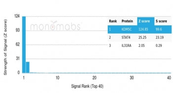 Analysis of a HuProt(TM) microarray containing more than 19,000 full-length human proteins using JAR