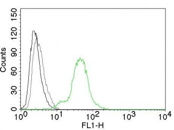 FACS testing of human BT474 cells with Estrogen Receptor beta antibody: Black=cells alone; Gray=isot