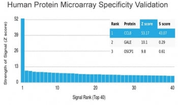 Analysis of HuProt(TM) microarray containing more than 19,000 full-length human proteins using MCP2 