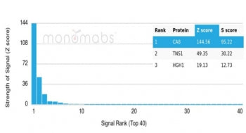 Analysis of a HuProt(TM) microarray containing more than 19,000 full-length human proteins using Car