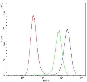 APRT Antibody