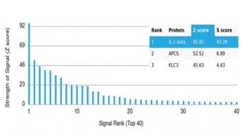 Analysis of a HuProt(TM) microarray containing more than 19,000 full-length human proteins using Int