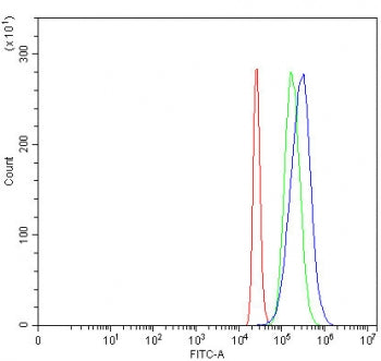 Flow cytometry testing of fixed and permeabilized human 293T cells with Pyruvate dehydrogenase kinas