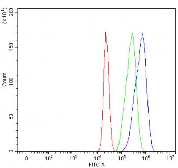 TWF1 Antibody / Twinfilin 1 / PTK9