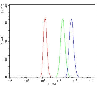 Flow cytometry testing of human A549 cells with WEE1 antibody at 1ug/million cells (blocked with goa