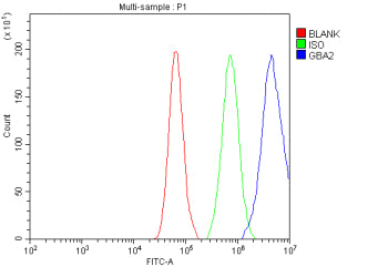 Flow Cytometry analysis of cells using anti-GBA2 antibody. Overlay histogram showing cells stained w