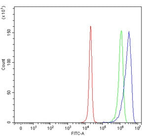 Flow cytometry testing of human HepG2 cells with Cytochrome P450 3A4 antibody at 1ug/million cells (