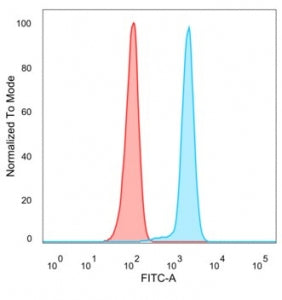 Flow cytometry testing of PFA-fixed human HeLa cells with FOXL2 antibody (clone PCRP-FOXL2-1B4) foll