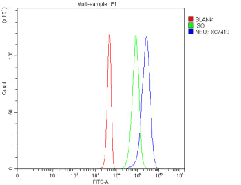 Flow Cytometry analysis of 293T cells using anti-NEU3 antibody. Overlay histogram showing 293T cells