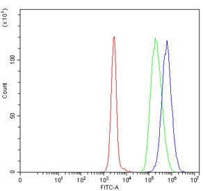 TIGD6 Antibody / Tigger transposable element-derived protein 6