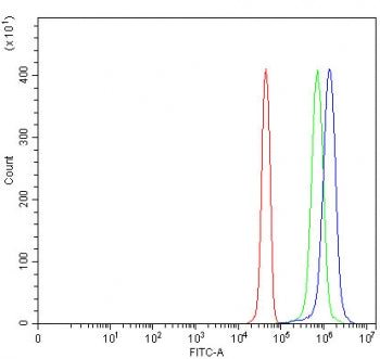 Flow cytometry testing of fixed and permeabilized human JK cells with PSMF1 antibody at 1ug/million 