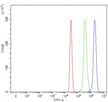 Optic atrophy 3 Antibody / OPA3