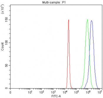 Flow cytometry testing of fixed and permeabilized human 293T cells with INO80B antibody at 1ug/milli