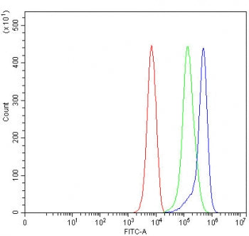SLMAP Antibody / Sarcolemmal membrane-associated protein