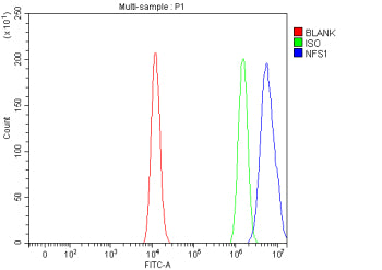 Flow Cytometry analysis of HEL cells using anti-NFS1 antibody. Overlay histogram showing HEL cells s