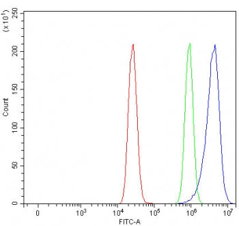 Flow cytometry testing of fixed and permeabilized human MCF7 cells with PPP1R11 antibody at 1ug/mill