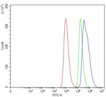 ALAS1 Antibody
