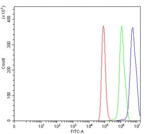 Flow cytometry testing of human HeLa cells with ROR gamma antibody at 1ug/million cells (blocked wit