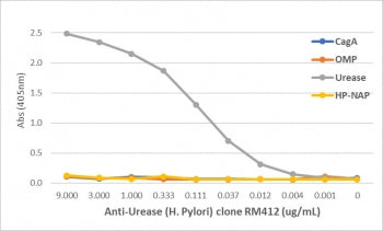 An ELISA of Helicobacter Pylori proteins using recombinant Helicobacter pylori Urease antibody. The 