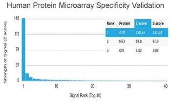 Analysis of HuProt(TM) microarray containing more than 19,000 full-length human proteins using Alpha