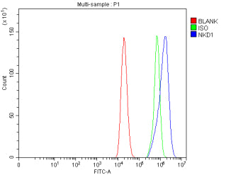 Flow Cytometry analysis of Caco-2 cells using anti-NKD1 antibody. Overlay histogram showing Caco-2 c