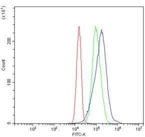 Flow cytometry testing of human JK-1 cells with MAT II beta antibody at 1ug/million cells (blocked w