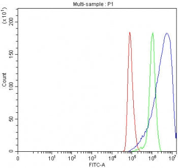 Flow cytometry testing of fixed and permeabilized human HeLa cells with RAB14 antibody at 1ug/millio