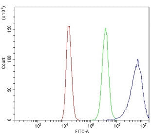 Flow cytometry testing of human 293T cells with Complement C3 antibody at 1ug/million cells (blocked