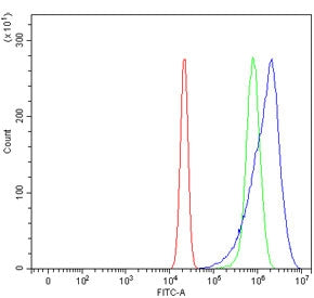 PATE1 Antibody / Prostate and testis expressed protein 1