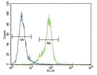 Dnmt1 antibody flow cytometric analysis of MDA-MB435 cells (right histogram) compared to a negative 