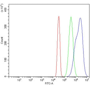 USP1 Antibody