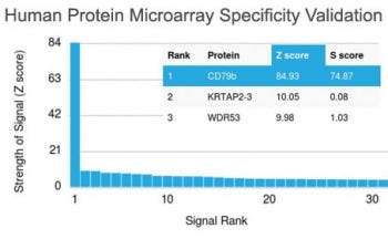 Analysis of HuProt(TM) microarray containing more than 19,000 full-length human proteins using CD79b