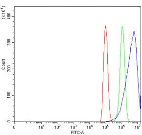 THUMPD3 Antibody / THUMP domain-containing protein 3