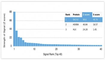 Analysis of HuProt(TM) microarray containing more than 19,000 full-length human proteins using BACH2