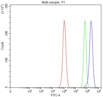 Flow cytometry testing of fixed and permeabilized human PC-3 cells with PCDHA13 antibody at 1ug/mill