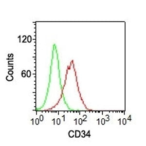 CD34 Antibody