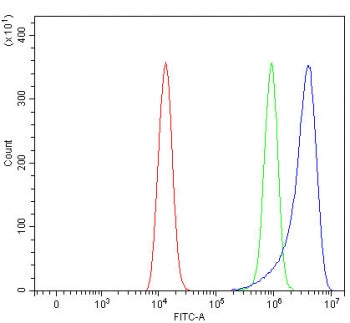 PIK3R6 Antibody / Phosphoinositide 3-kinase regulatory subunit 6