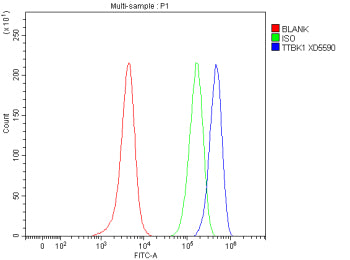 Flow Cytometry analysis of SH-SY5Y cells using anti-TTBK1 antibody. Overlay histogram showing SH-SY5