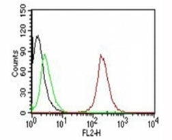 Flow Cytometry testing of MCF-7 cells. Black: cells alone; Green: isotype control; Red: PE-labeled C