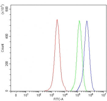 Flow cytometry testing of fixed and permeabilized human JK cells with MMACHC antibody at 1ug/million