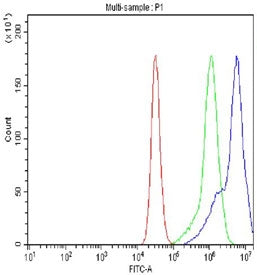 Flow cytometry testing of fixed and permeabilized human Raji cells with IKKa antibody at 1ug/million