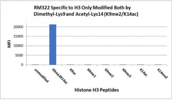 The H3K9me2/K14ac antibody specifically reacts to Histone H3 only when modified at both dimethyl-lys