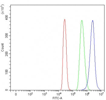 Flow cytometry testing of fixed and permeabilized human 293T cells with Heparin cofactor 2 antibody 