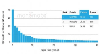 Analysis of a HuProt(TM) microarray containing more than 19,000 full-length human proteins using AAT
