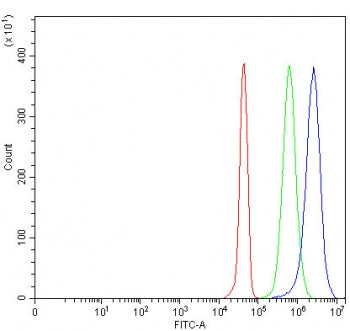 Flow cytometry testing of human JK cells with PRSS27 antibody at 1ug/million cells (blocked with goa